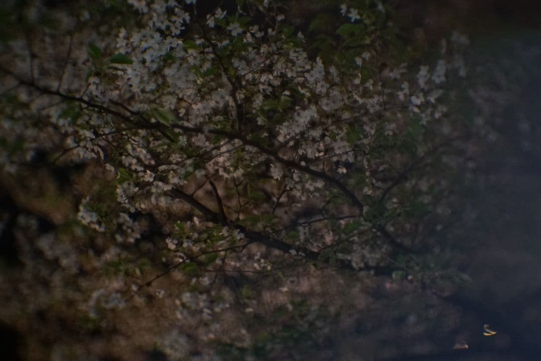 【美品】IZOS PO-109-1A 16KP 50mm F1.2 ロシア