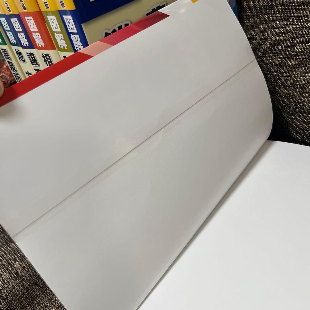 図解 法人税 令和6年版