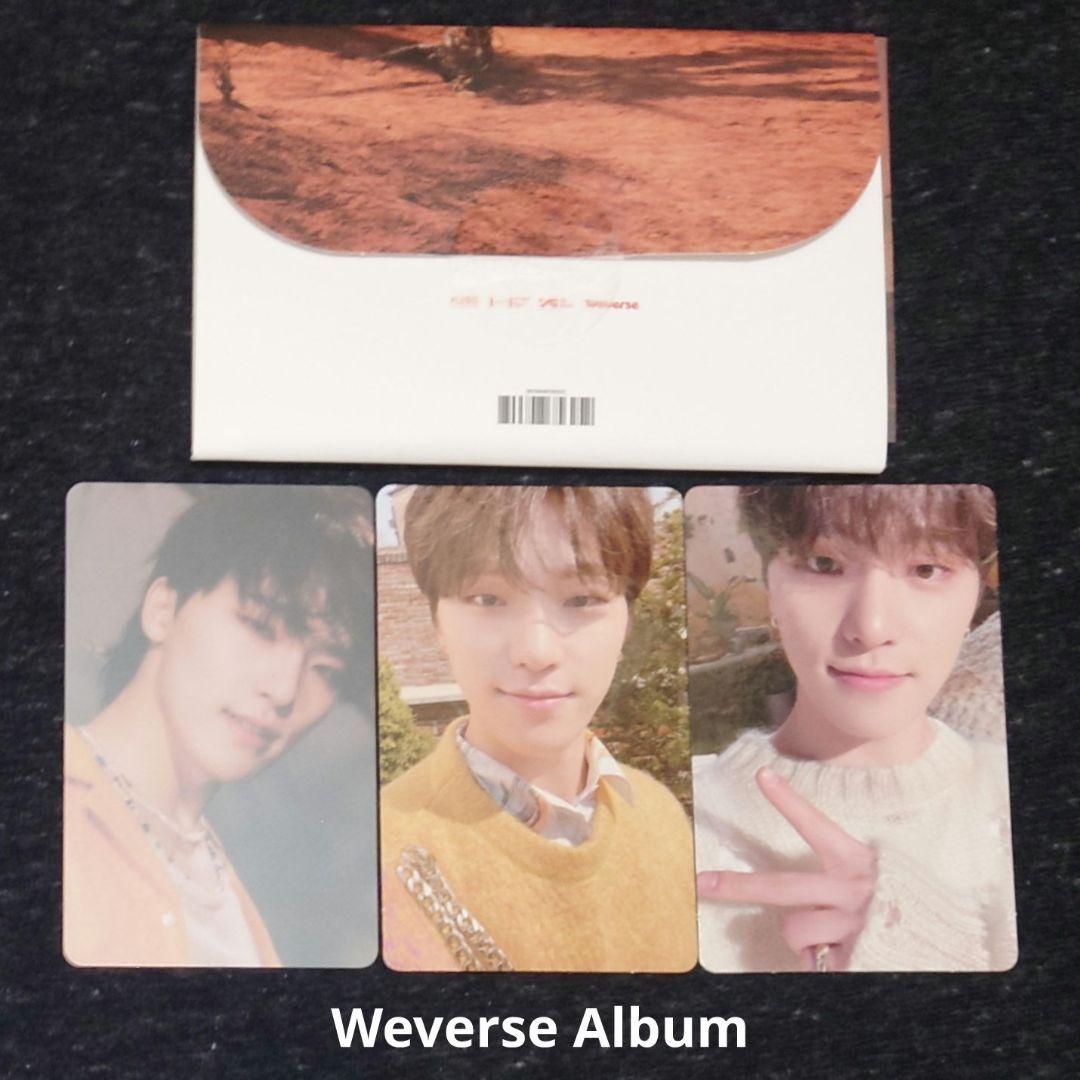 DINO ディノ トレカ 特典 まとめ 150点以上