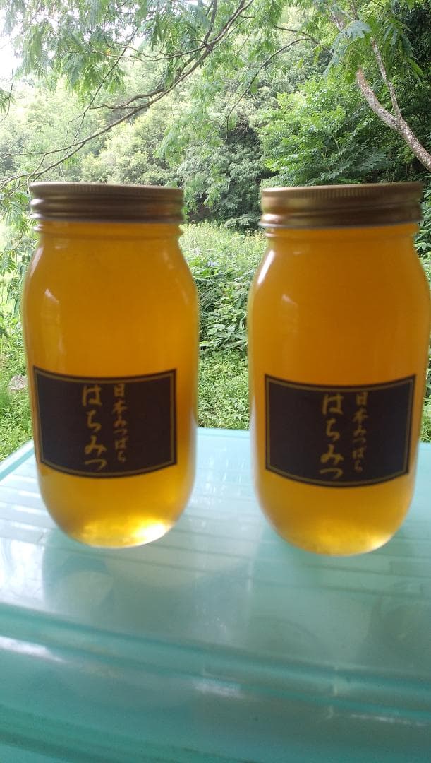 日本ミツバチ蜂蜜百花蜜　1000ｇ２本