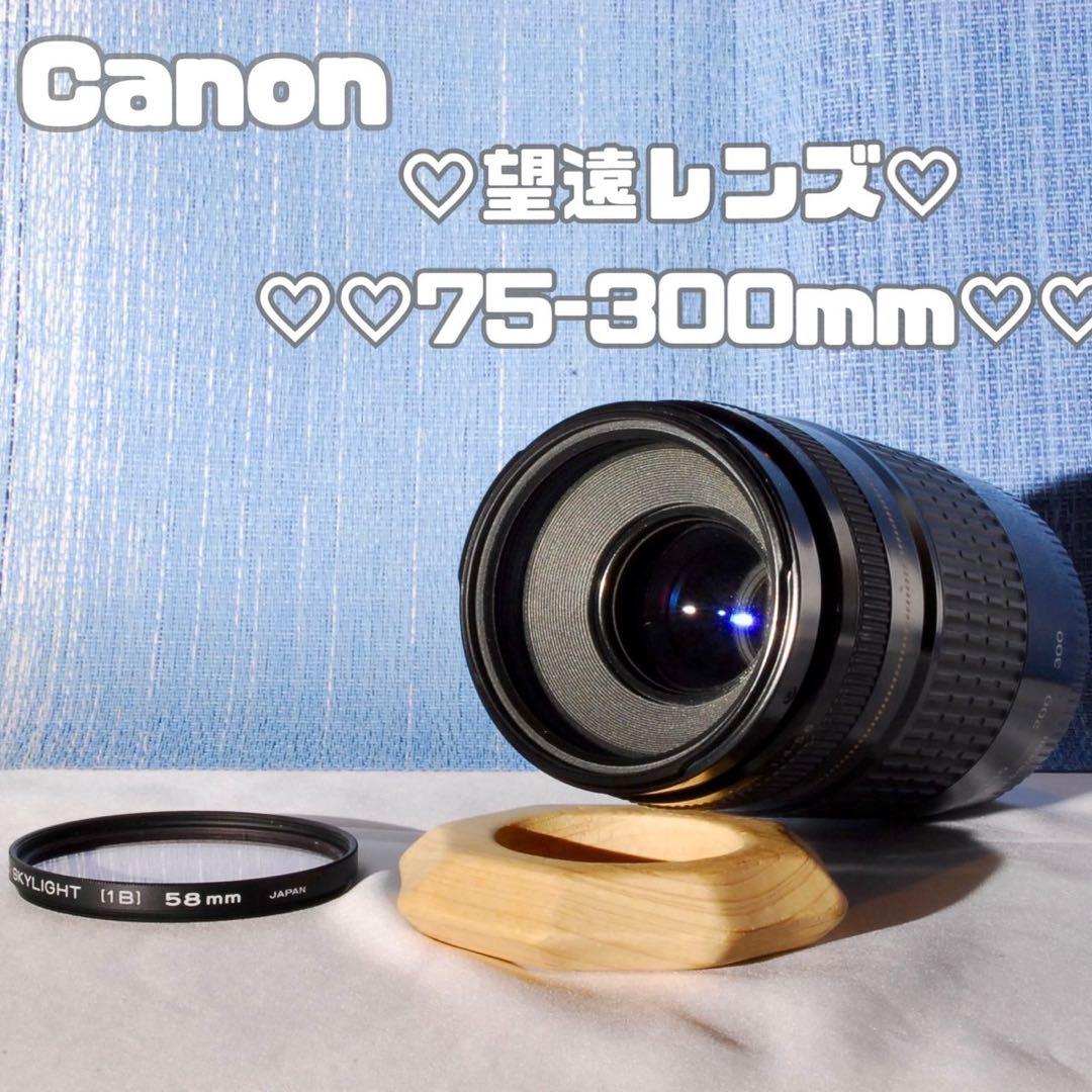 ✨大人気！超望遠✨Canon EF75-300mm USM✨フルサイズ✨