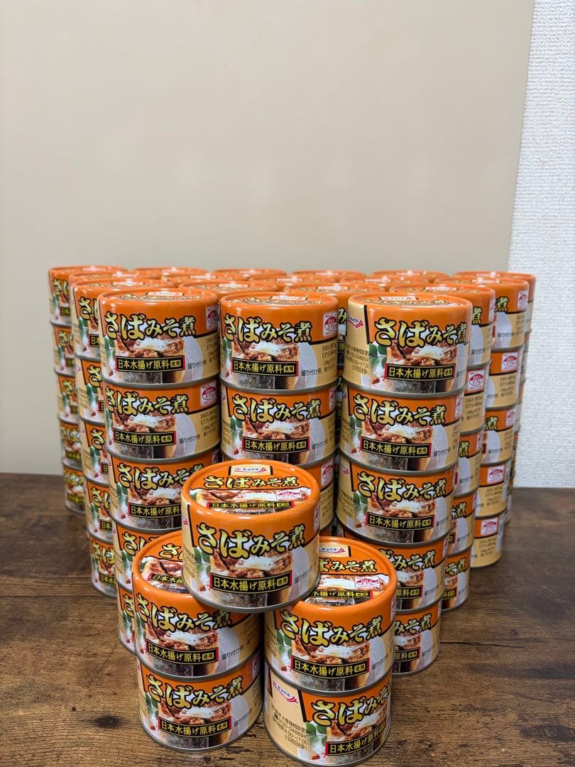 さばみそ煮×95個 賞味期限:2028年9月1日