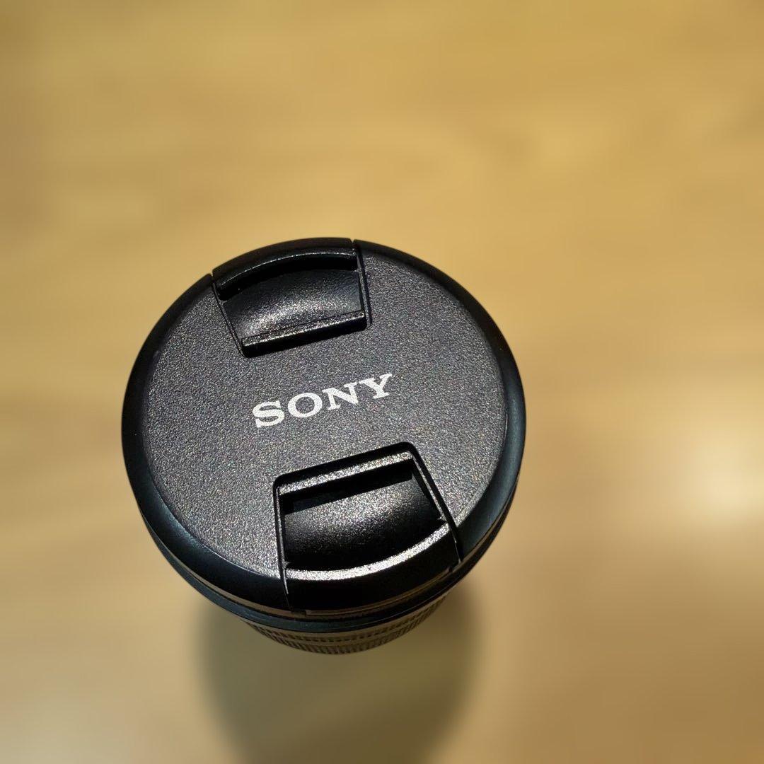 FE 24-105mm F4 G OSS ズームレンズ　SEL24105G