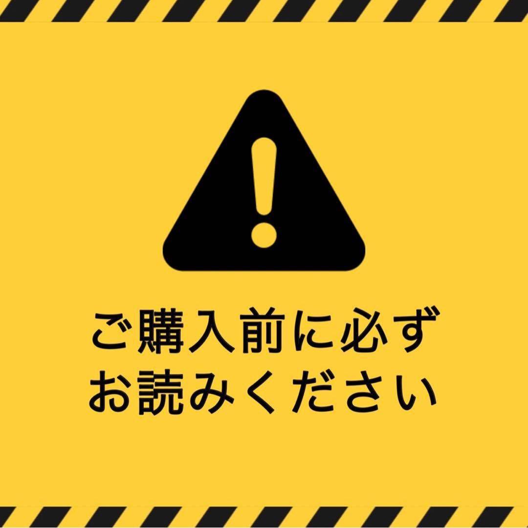 ポケモンカード　トップサン裏緑　ライチュウ ピカチュウ
