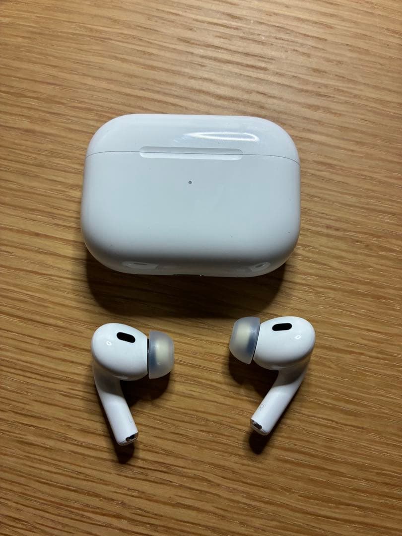 AirPods Pro2 (第二世代) lightning カラビナ付きケース