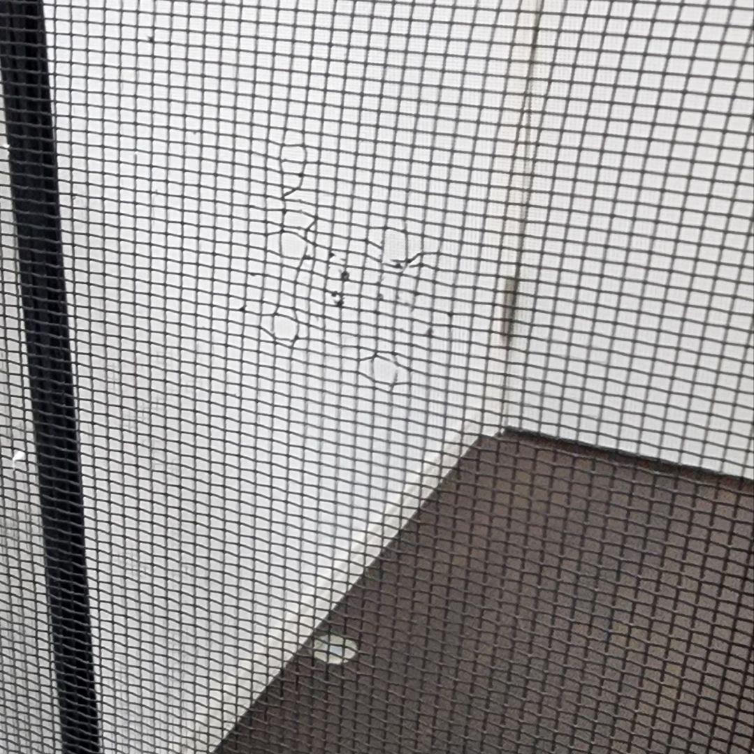 爬虫類ケージ GEX エキゾテラ スクリーンテラリウム 4590 メッシュケージ