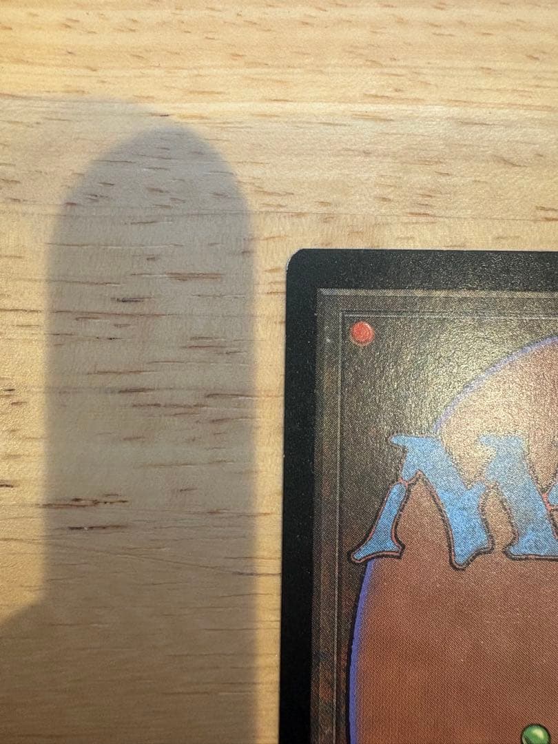 mtg 樹上の村 foil