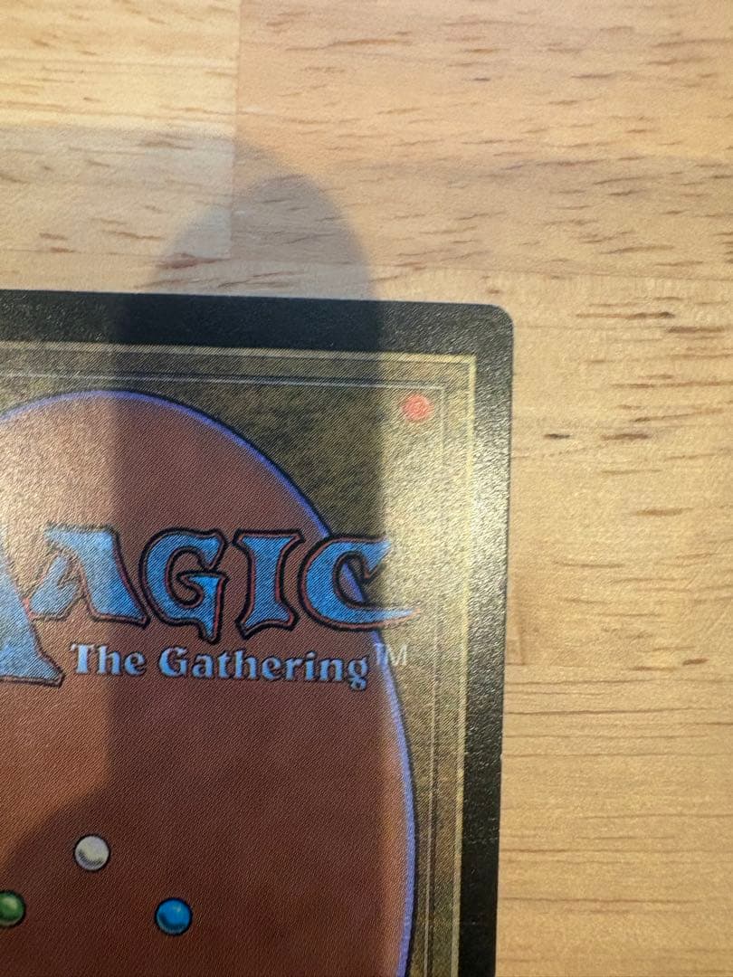 mtg 樹上の村 foil