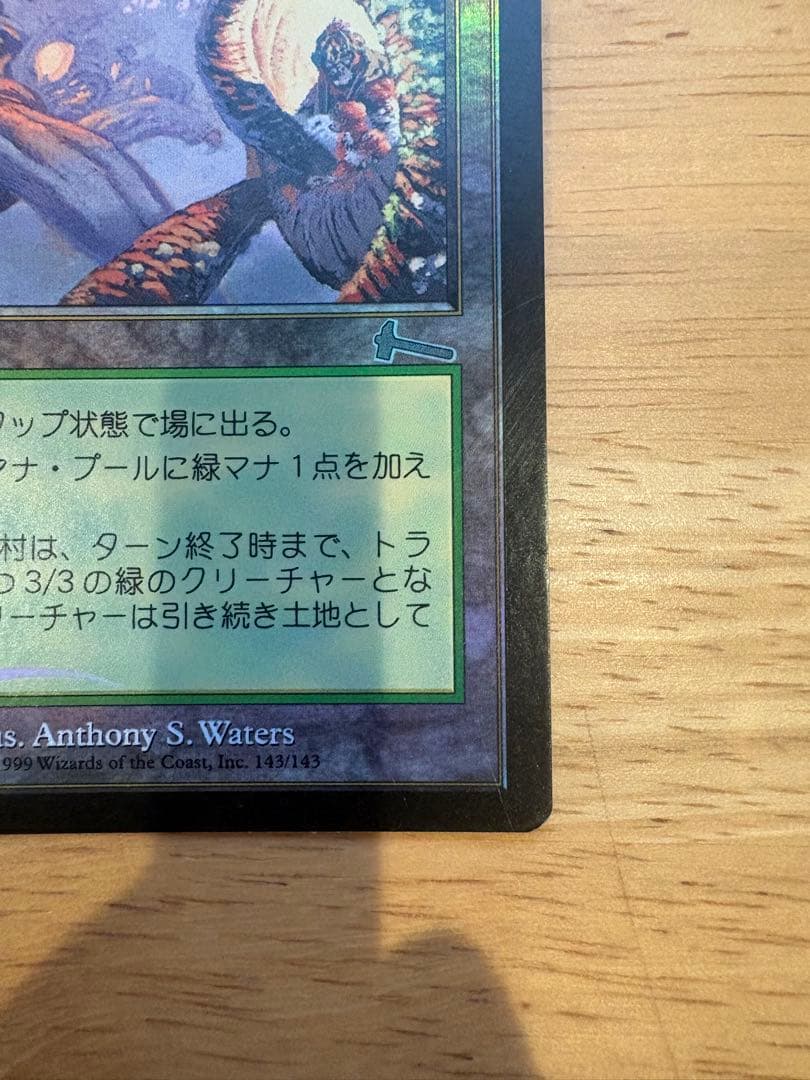 mtg 樹上の村 foil