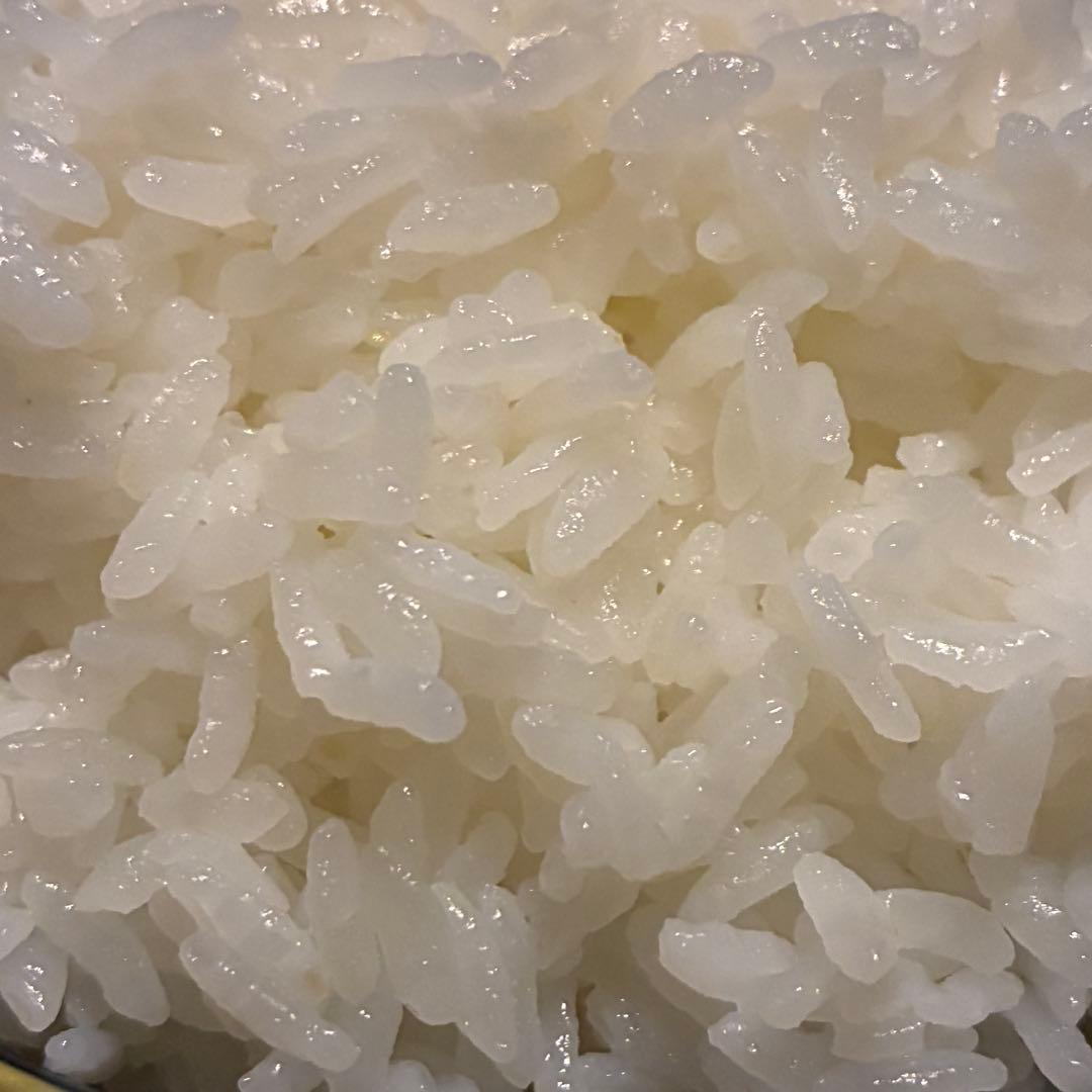 【5.5合】タイガー IH炊飯ジャー 『炊き立て』 JPC-G100 ホワイト