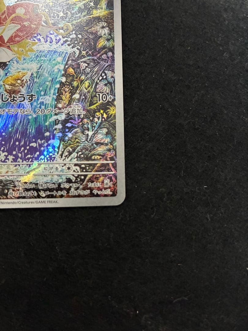 コイキング　AR