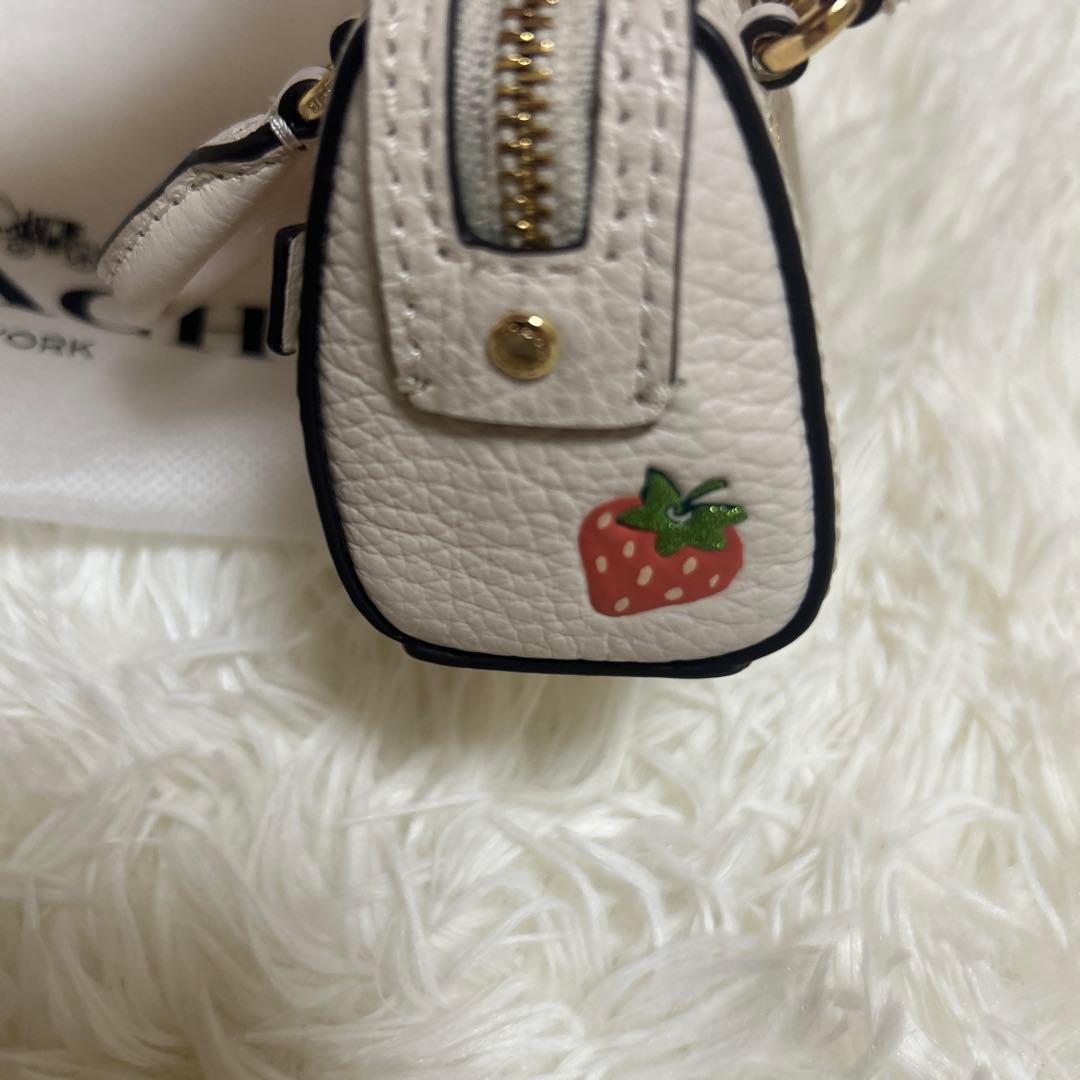 未使用級 コーチ ミニ バッグチャーム 小物入れ ローアン　ストロベリー