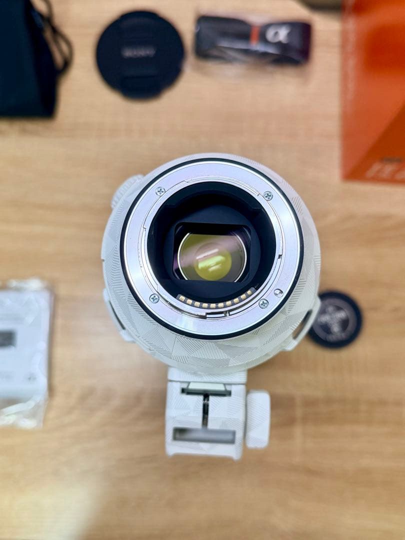 SONY FE 200-600mm F5.6-6.3G OSS 望遠ズームレンズ