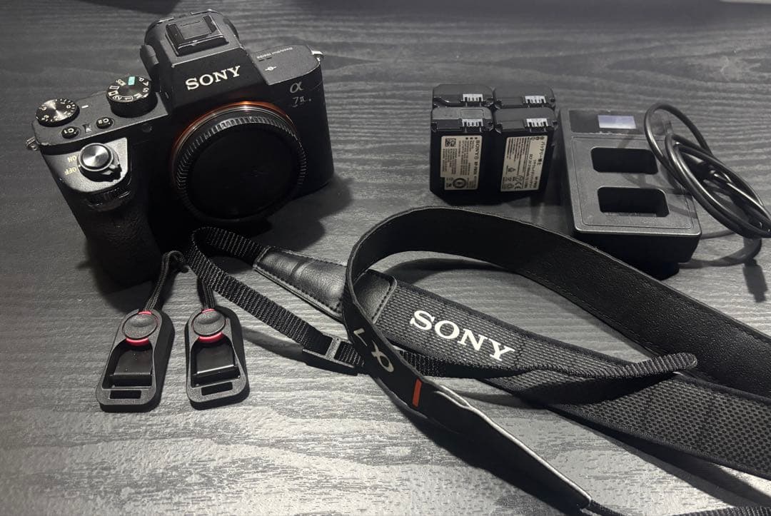 α7ii ILCE-7M2 レンズセット28〜75