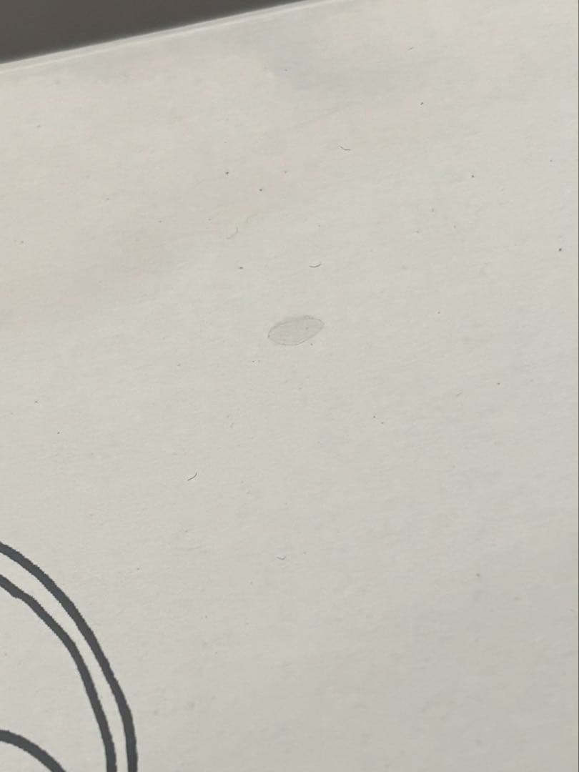 a*い様 ポケモンカードゲーム Yu Nagaba スペシャルBOX