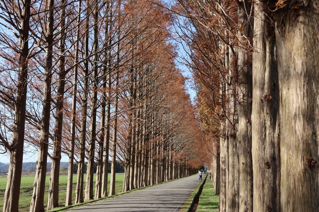 Canon rf s 18-150mm f3.5-6.3＋uvフィルタ