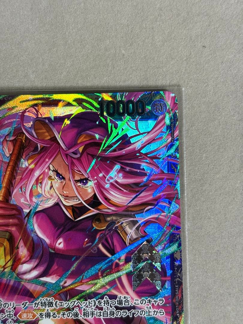 ボニー　フラッグシップ　フラシ