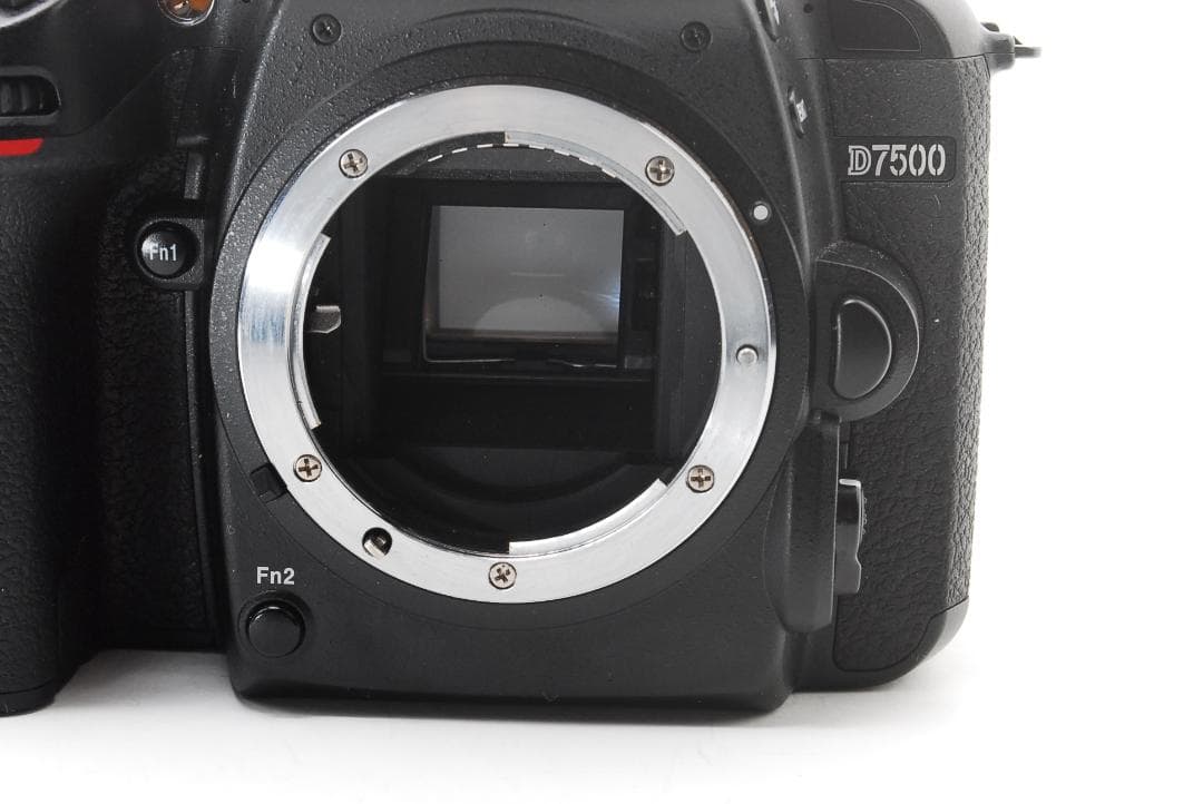 収納バッグ付き高画質D7500＋標準＆望遠レンズセット