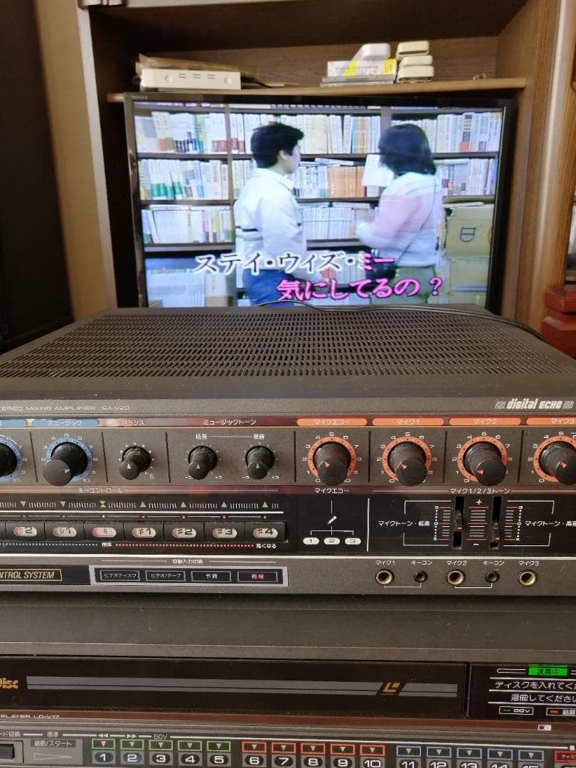 はらぺこあおむし　DKレーザーディスク150枚