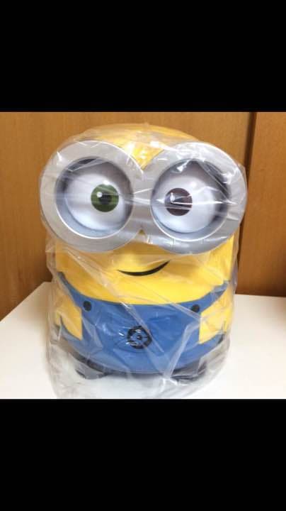 ミニオン冷温庫 正規品