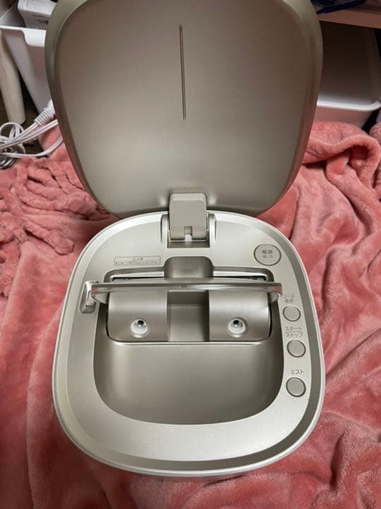 本日のみこの価格！Panasonicスチーマーナノケア