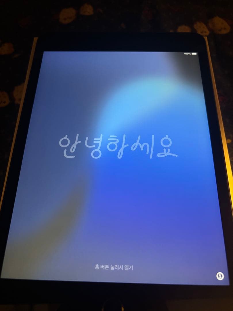 iPad mini 第5世代 64GB スペースグレイ WiFiモデル