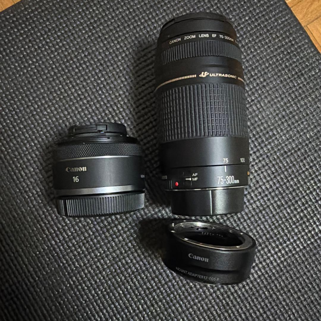 Canon EF 75-300mm レンズ
