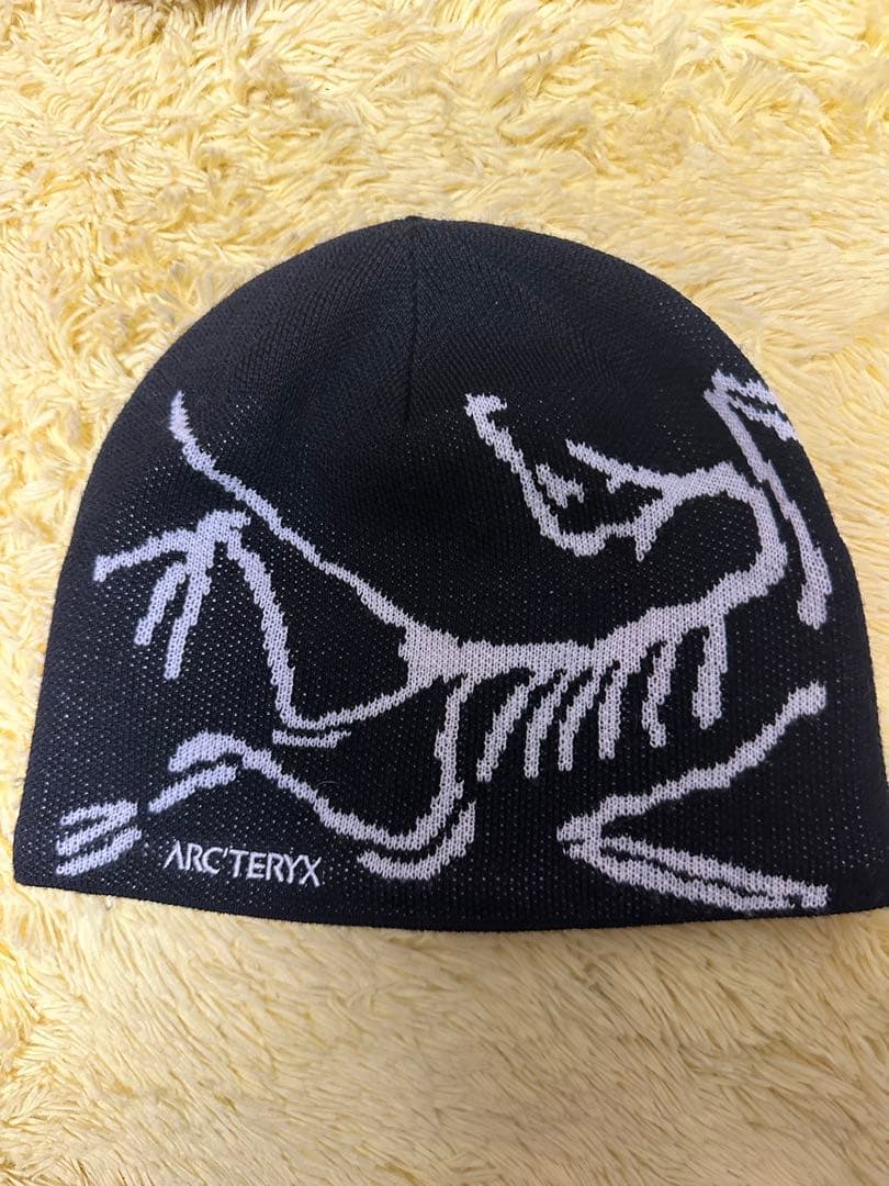 Jasmyn ARC’TERYX バードヘッドトーク