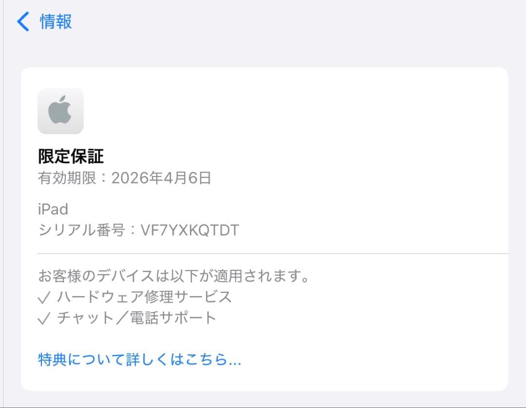 美品　iPad（A16）　シルバー　第11世代　128GB Wi-Fiモデル