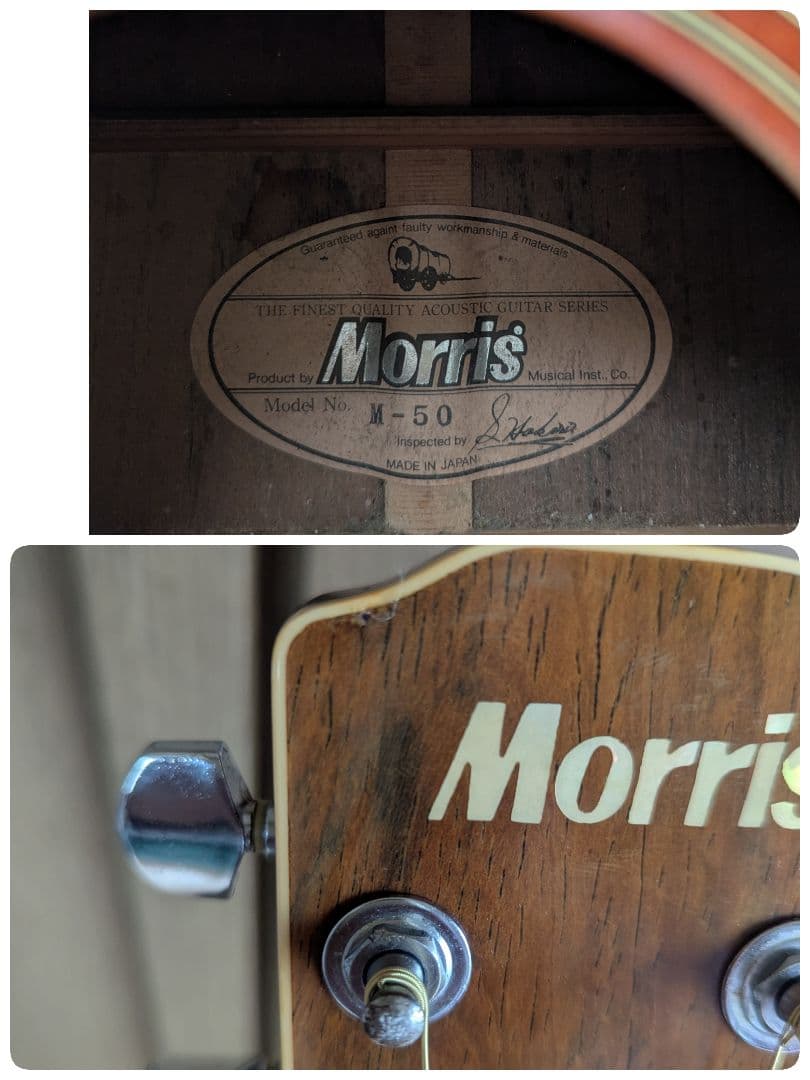 ♪Morris M-50 VSハカランダ・トップ単板♪