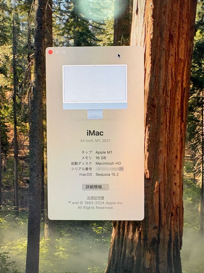 【シーラカンス】Apple iMac M1 2021年モデル