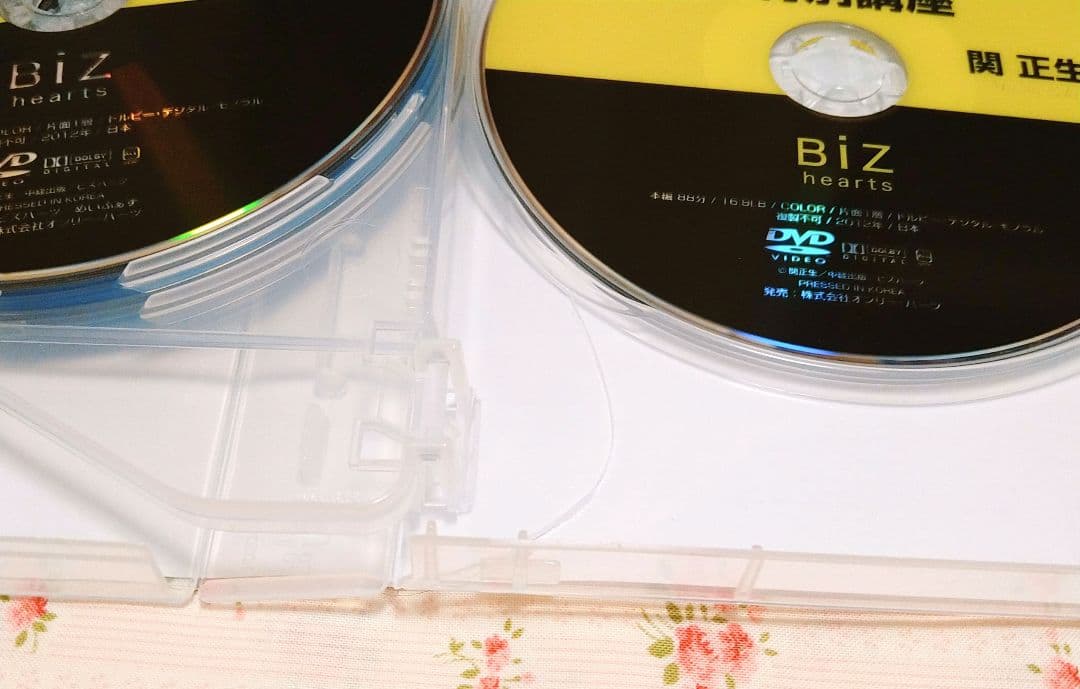 世界一わかりやすい英文法の授業 関正生 DVDセット (6枚組)