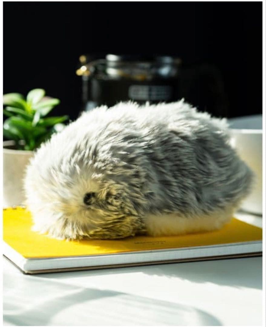 カシオ CASIO PE-M10SR [Moflin（モフリン） AIペット（コ