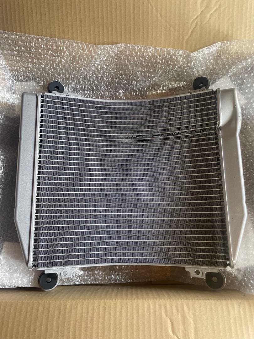 アクティブ　ビッグラジエーター