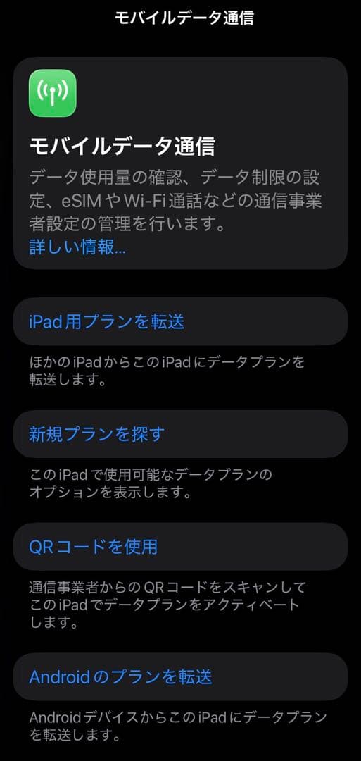 iPad mini A17Pro 128GB cellular 極美品