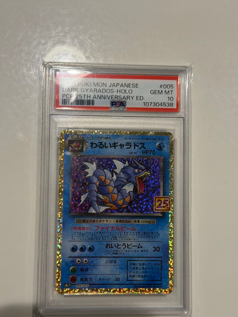 わるいギャラドス 25th Anniversary