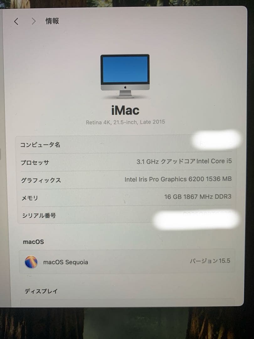 Apple iMac 21.5インチ Retina 4K (2015) カスタム