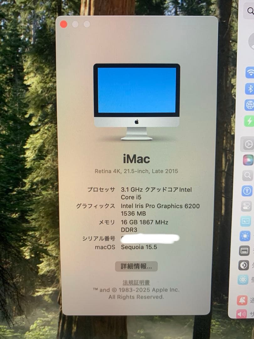 Apple iMac 21.5インチ Retina 4K (2015) カスタム