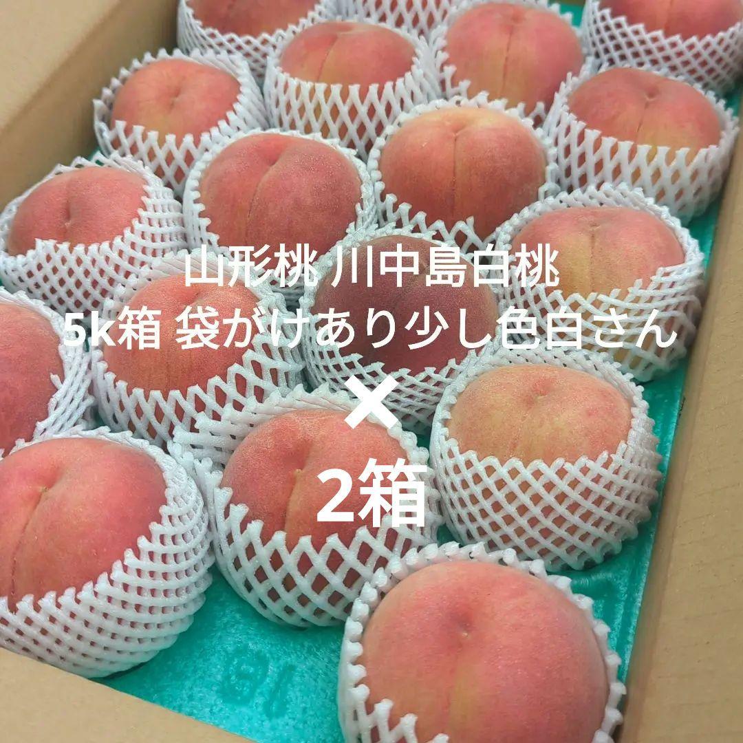 山形桃川中島白桃5k箱 袋がけあり少し色白さん(⁠◕⁠ᴗ⁠◕⁠✿⁠)×2箱