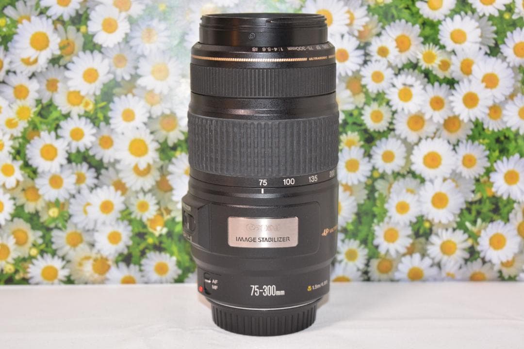 Canon EF 75-300mm IS USM❤フルサイズでも使える！❤超望遠