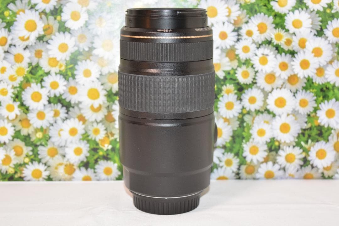 Canon EF 75-300mm IS USM❤フルサイズでも使える！❤超望遠