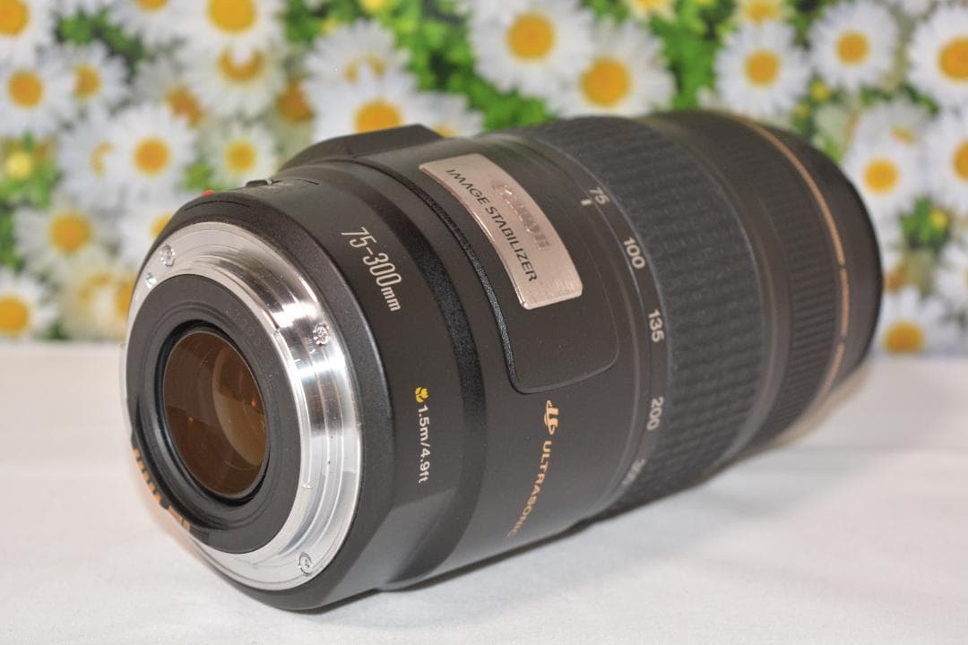 Canon EF 75-300mm IS USM❤フルサイズでも使える！❤超望遠
