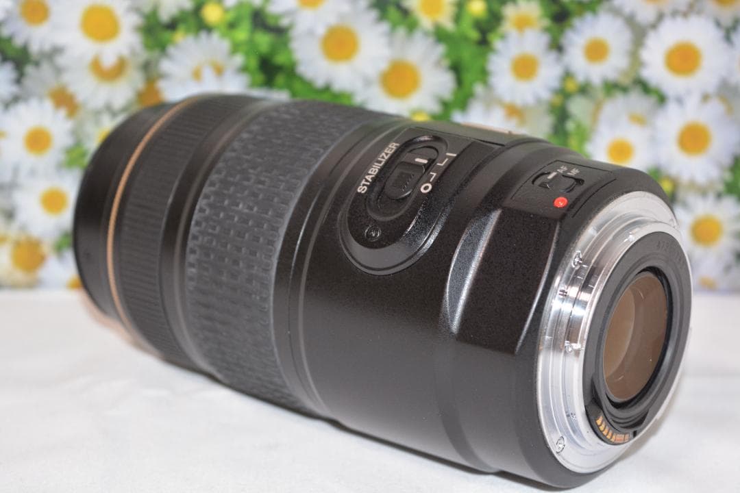 Canon EF 75-300mm IS USM❤フルサイズでも使える！❤超望遠