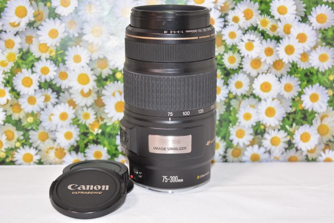 Canon EF 75-300mm IS USM❤フルサイズでも使える！❤超望遠