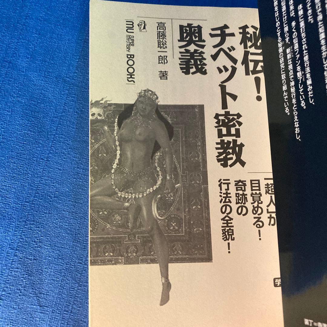 【レア本セット！】神秘！チベット密教入門　秘伝チベット密教奥義　高藤聡一郎
