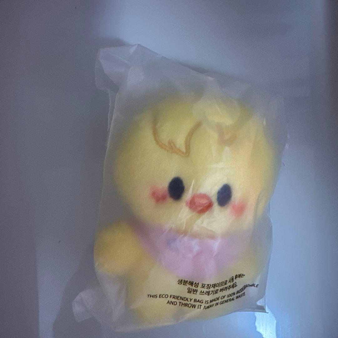 Stray Kidsぬいぐるみバンチャンチャンビンヒョンジンフィリックス