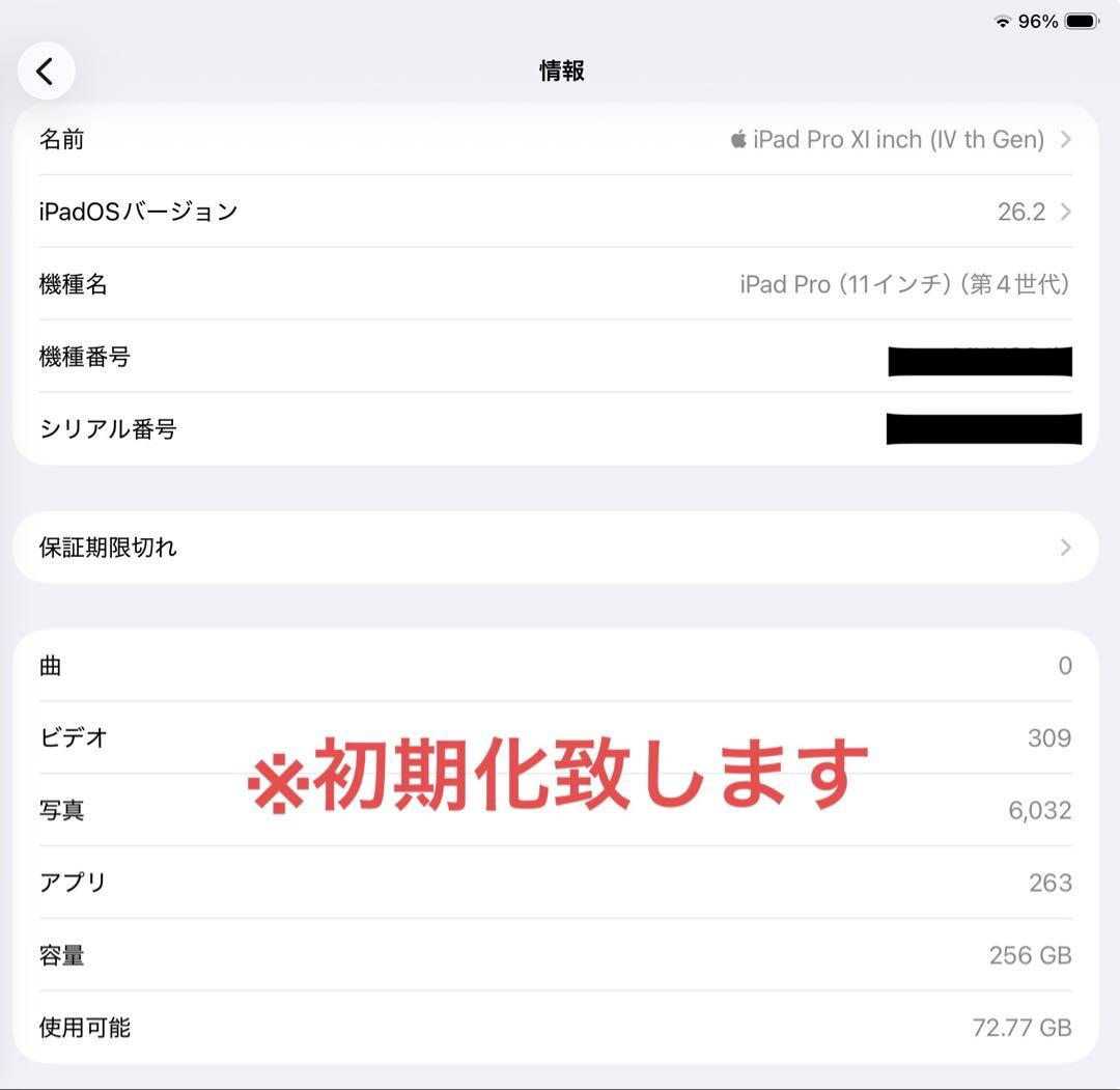 11インチ iPad Pro (第4世代) 256GB Wi-Fi シルバー