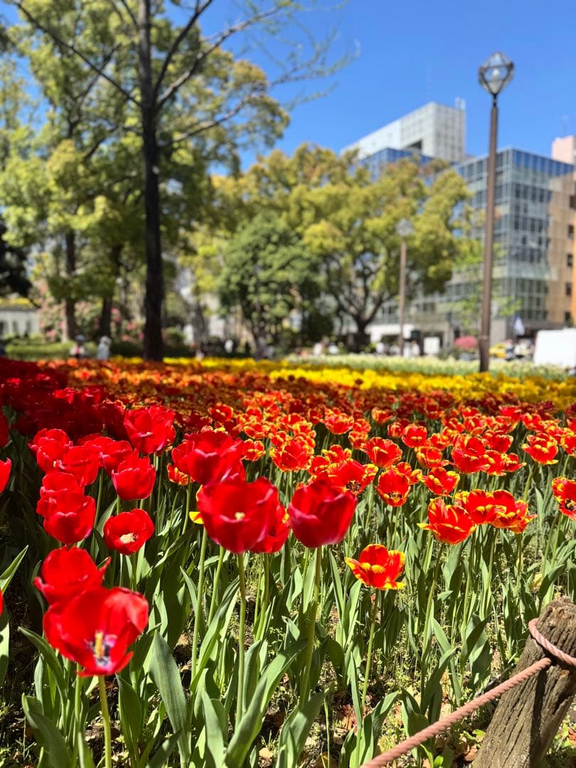 Nyanyako リヤスピーカー