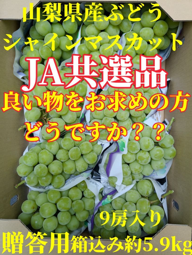 山梨県産ぶどう　シャインマスカット　9房入り箱込み約5.9kg