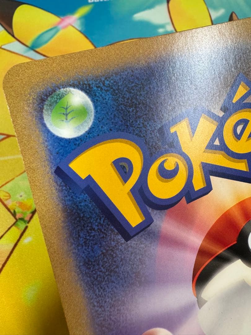 ポケるんTVのピカチュウとなかまたち　2枚　プロモ　ポケモンカード　ポケカ